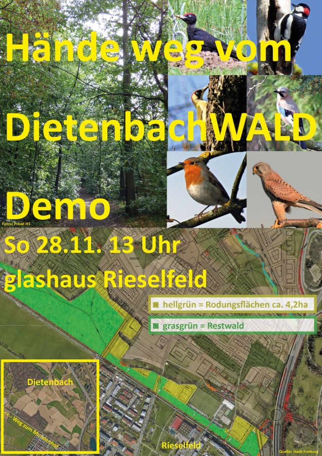 Flyer Hände weg vom DietenbachWALD Demo Mit Text 28.Oktober 2021 s1