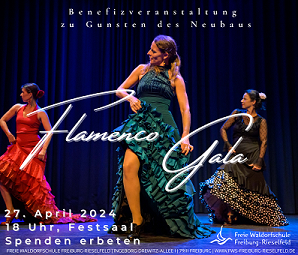 Freie Waldorfschule Rieselfeld Flamenco Gala